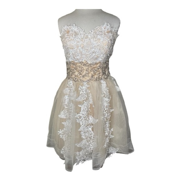 Hebeos Dresses & Skirts - Hebeos Elegant Lace Dress in White and Cream